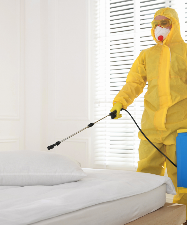 Professional Pest Control Team in Oakbank